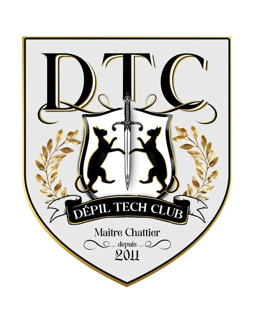 Blason Dépil Tech Club